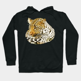 Leopard Hoodie